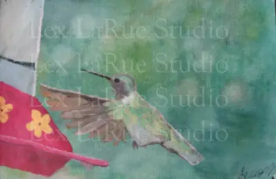 Green Iridencent Hummingbird Nature Bird Portrait 2.5x3.5 in. SIGNED PRINT aceo art card thumbnail 3