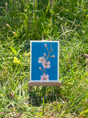 Cherry Blossom Stem aceo art card thumbnail 2