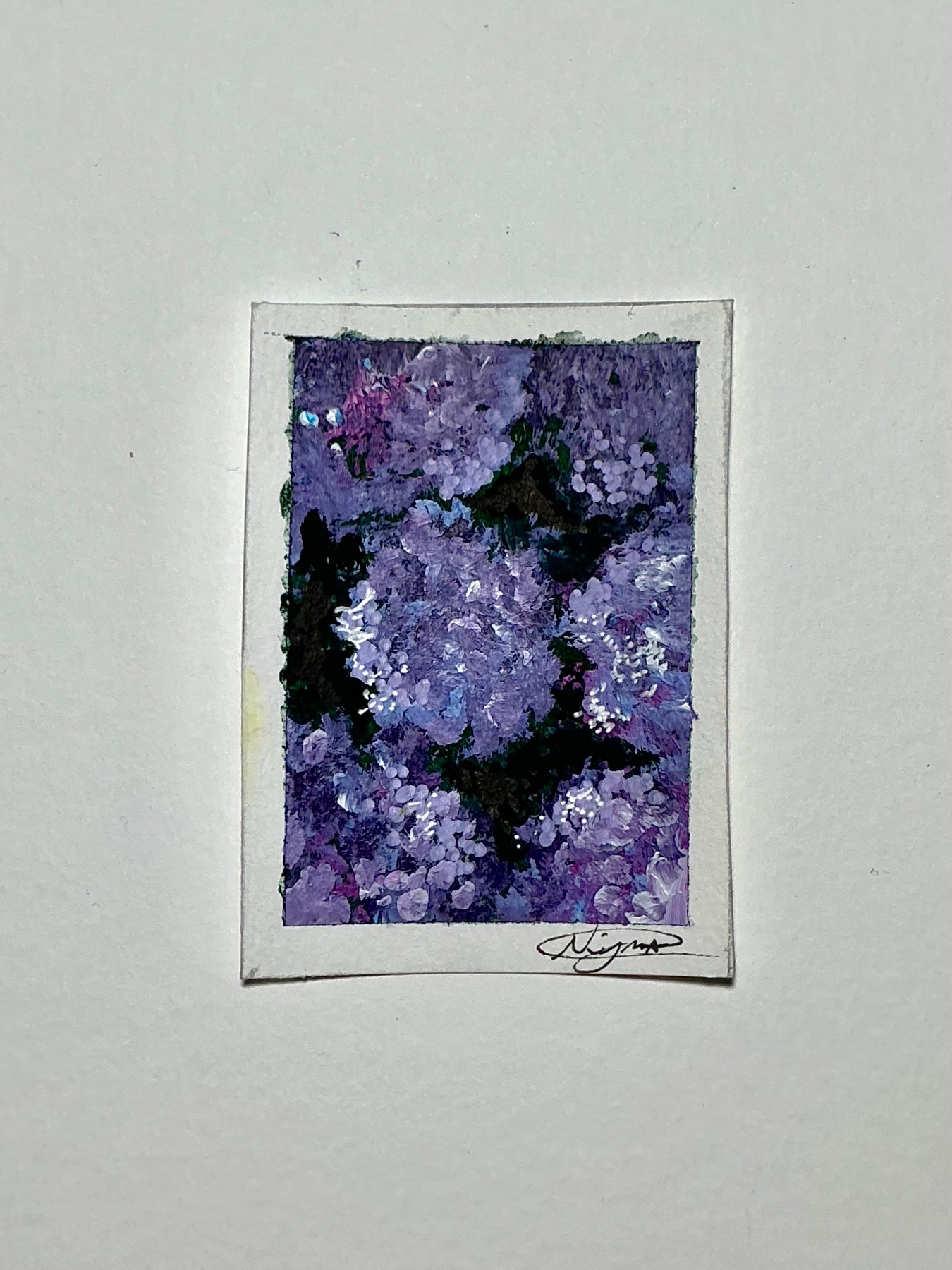 Hydrangeas aceo art card