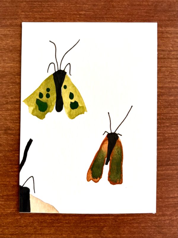 Nocturne aceo art card