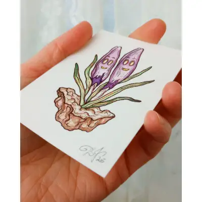 Sprouting Crocuses aceo art card thumbnail 2