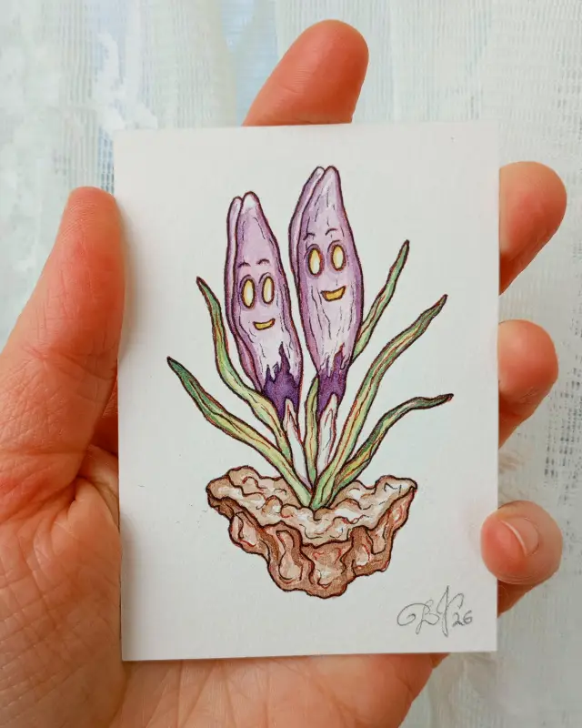 Sprouting Crocuses aceo art card