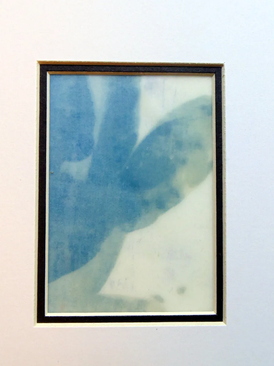 Rose Petals Encaustic Cyanotype original art ACEO aceo art card