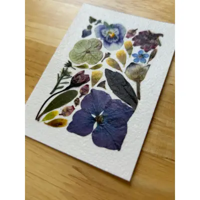 Pressed Flowers #9 (Floral Series) aceo art card thumbnail 2