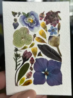 Pressed Flowers #9 aceo art card thumbnail 2