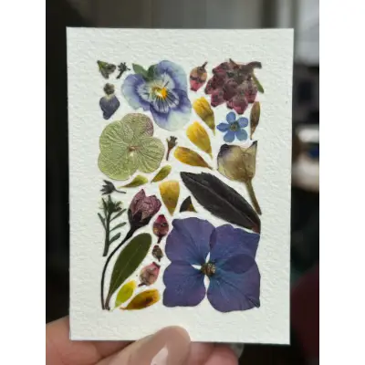 Pressed Flowers #9 (Floral Series) aceo art card thumbnail 1
