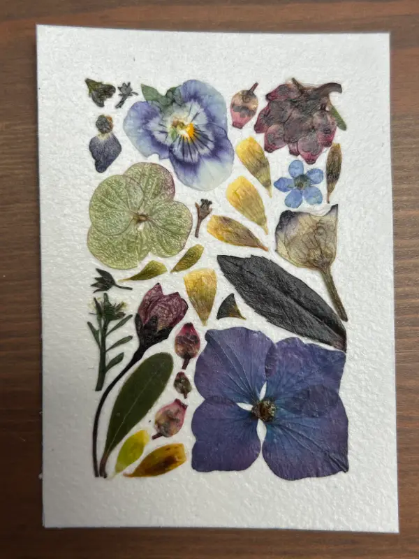 Pressed Flowers #9 aceo art card