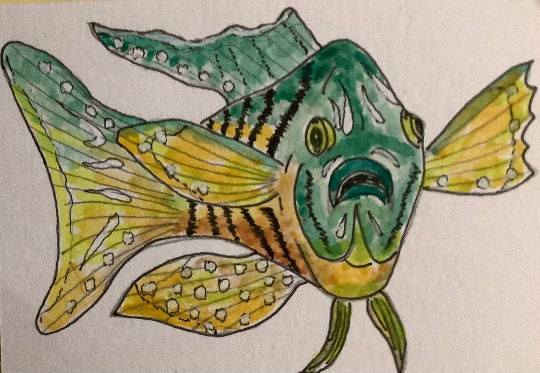 Peacock Cichlid Fish aceo art card