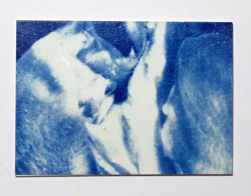 Agave Original Art Cyanotype ACEO aceo art card