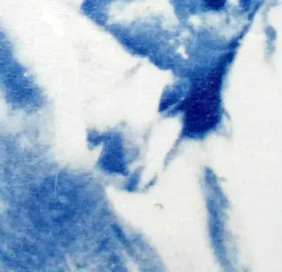 Agave Original Art Cyanotype ACEO aceo art card thumbnail 2