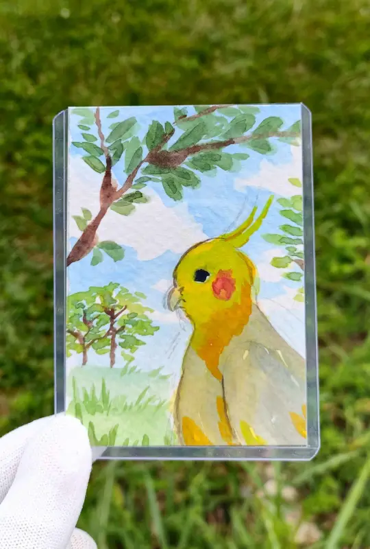 Teil in Shade aceo art card