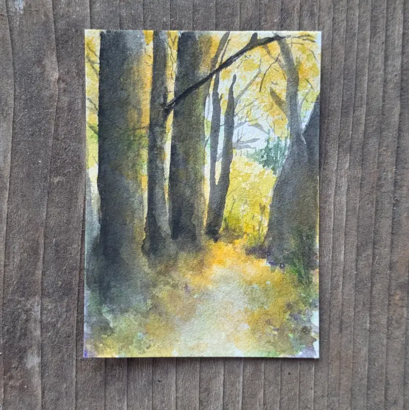 Silver Falls Autumn Trail aceo art card