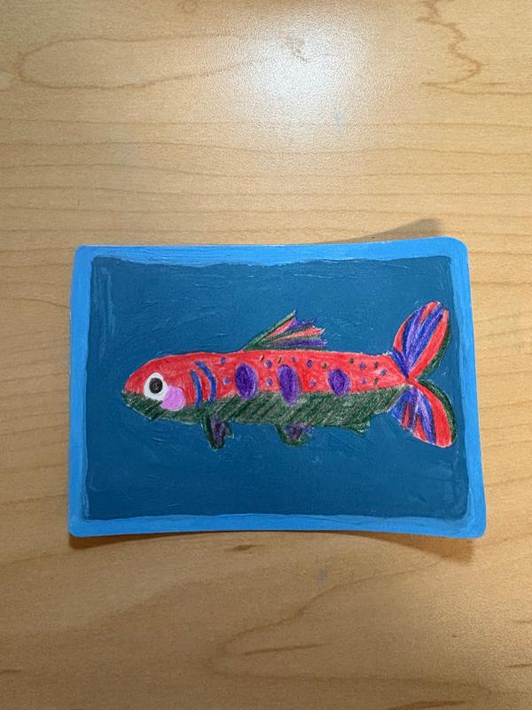 Trout aceo art card