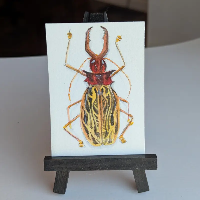 Giant Jawed Sawyer Beetle aceo art card