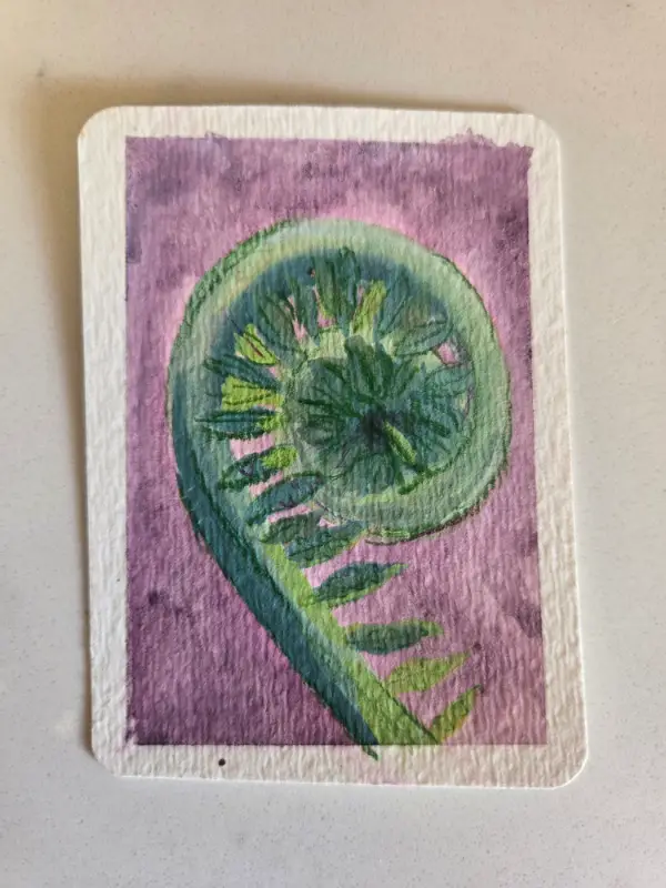 Sleepy fern aceo art card