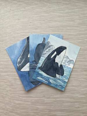 “Taking a Look” Orca Series 1/4 aceo art card thumbnail 2