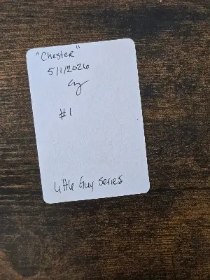 Chester aceo art card thumbnail 2