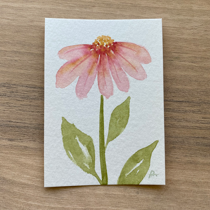 Pink Coneflower aceo art card