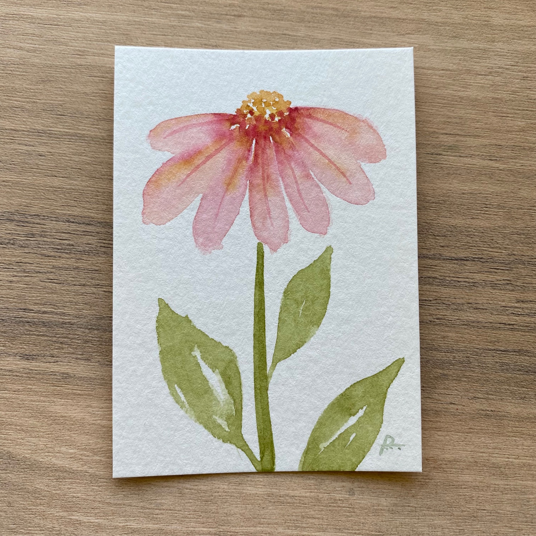 Pink Coneflower aceo art card