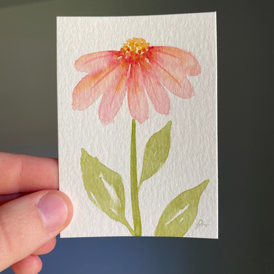 Pink Coneflower aceo art card thumbnail 2