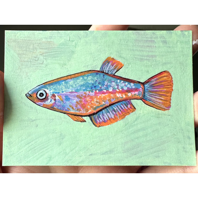Colorful Fish aceo art card thumbnail 1