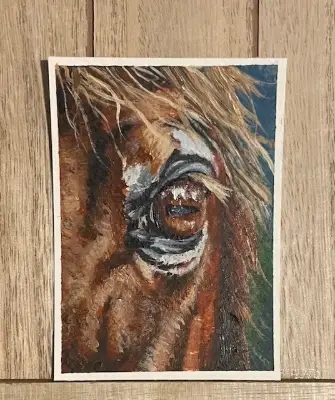 Into a Horse's Eye aceo art card thumbnail 2