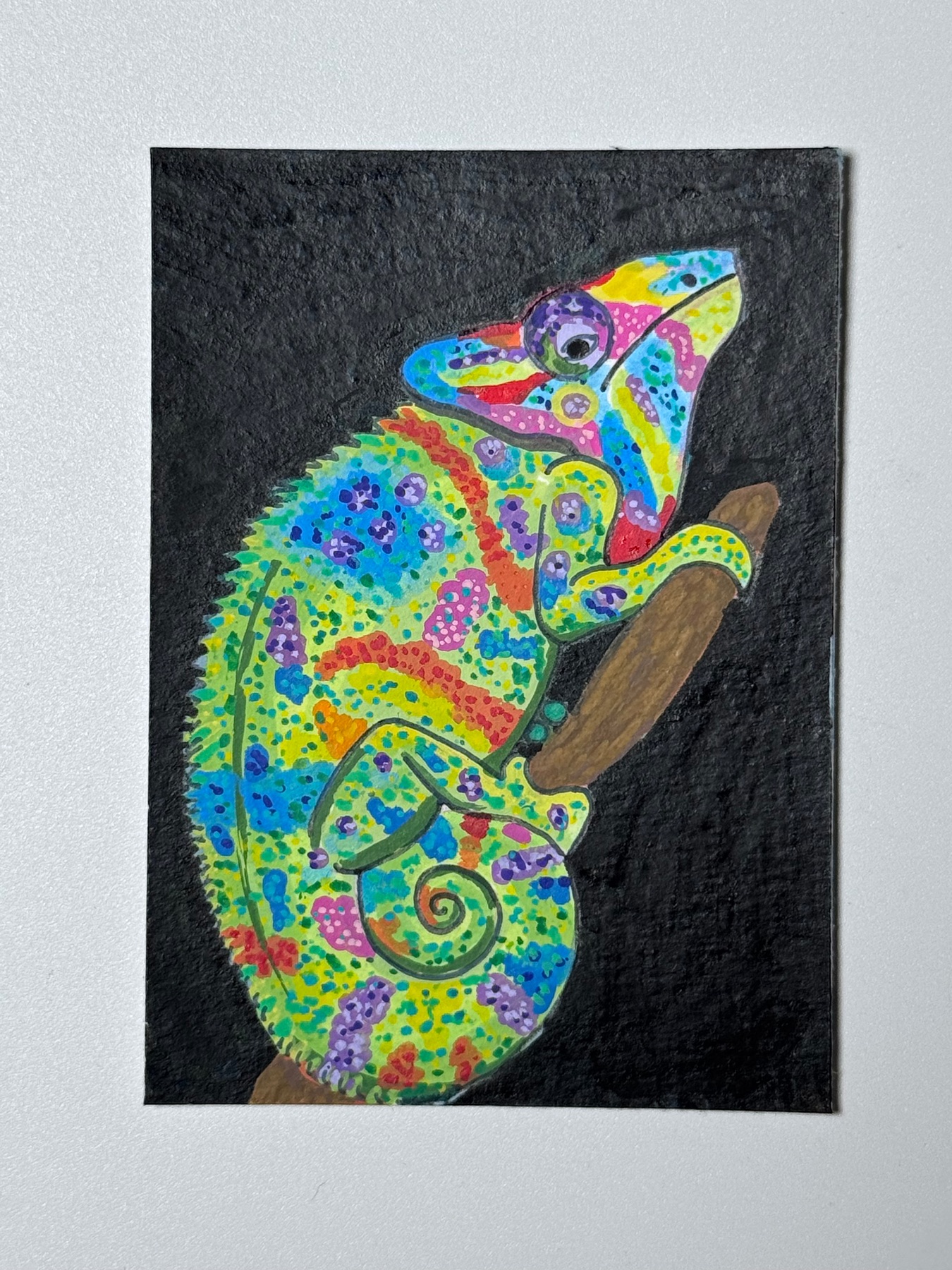 Wild chameleon aceo art card