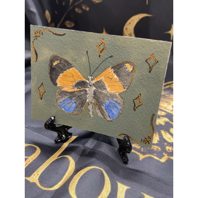 Whimsy Asterope markii davisii aceo art card thumbnail 1