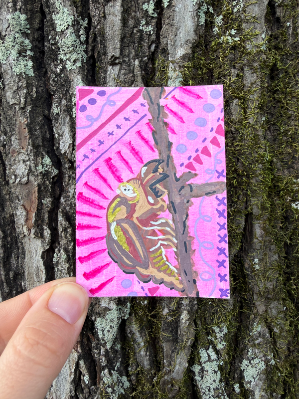 Cicada exuviae, Summer in Louisiana, New Beginnings aceo art card