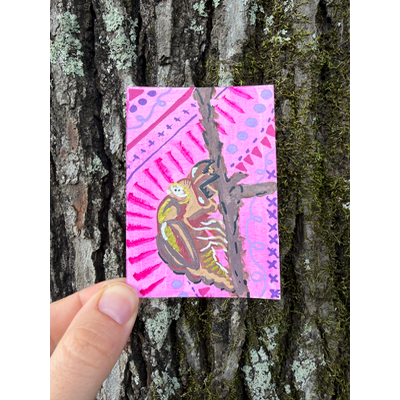 Cicada exuviae, Summer in Louisiana, New Beginnings aceo art card thumbnail 1