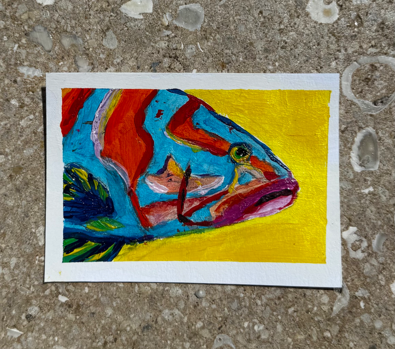 Grouper Kiss aceo art card