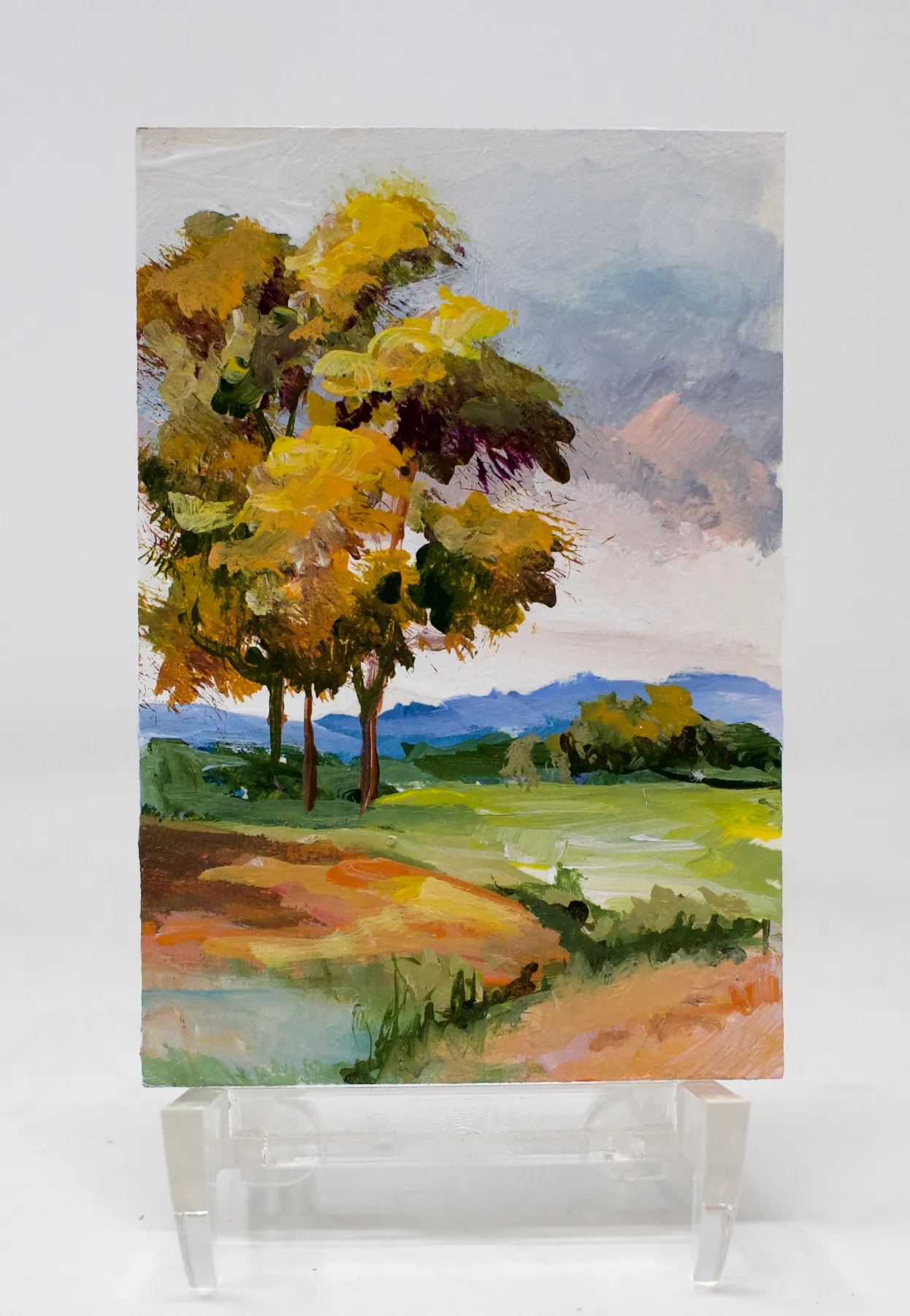 L 51 aceo art card