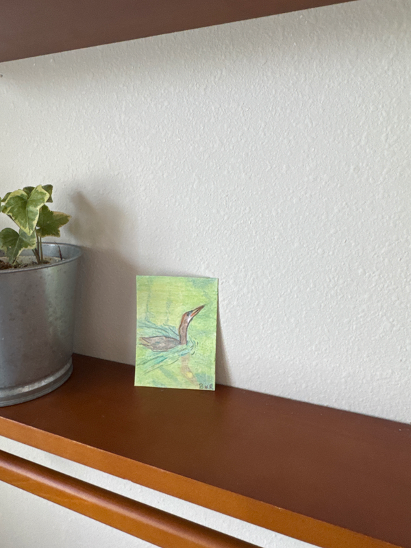 The Florida Birds 2 “Anhinga” aceo art card