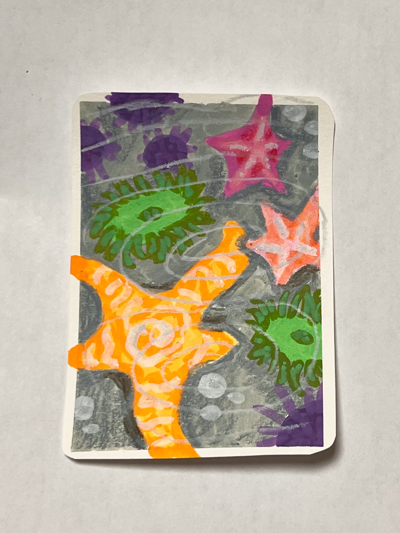 ACEO Tide Pool Original Artwork by Liv Leemon aceo art card