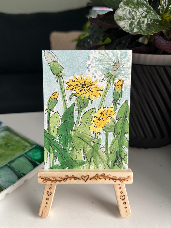 Dandelions aceo art card