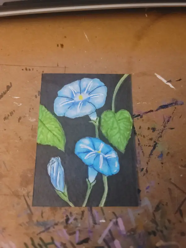 Morning Glories #4 aceo art card