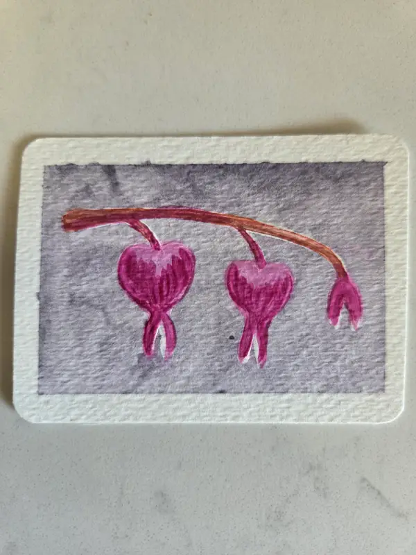 Bleeding hearts aceo art card