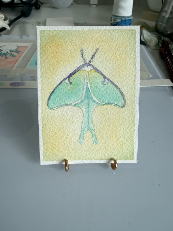 Luna moth aceo art card
