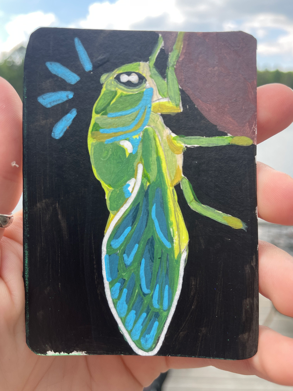 Cicada aceo art card