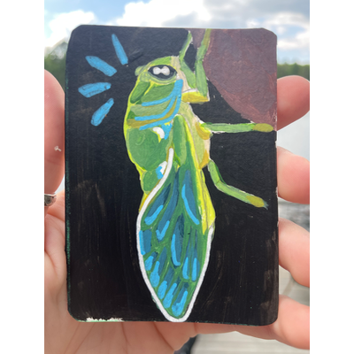 Cicada aceo art card thumbnail 1