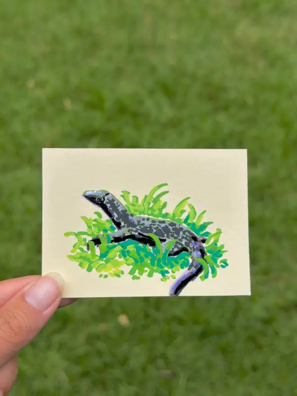 Monitor Lizard Lounging aceo art card