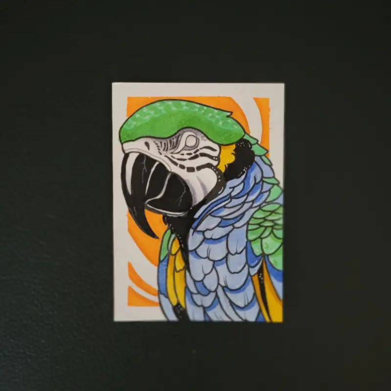 Parrot aceo art card