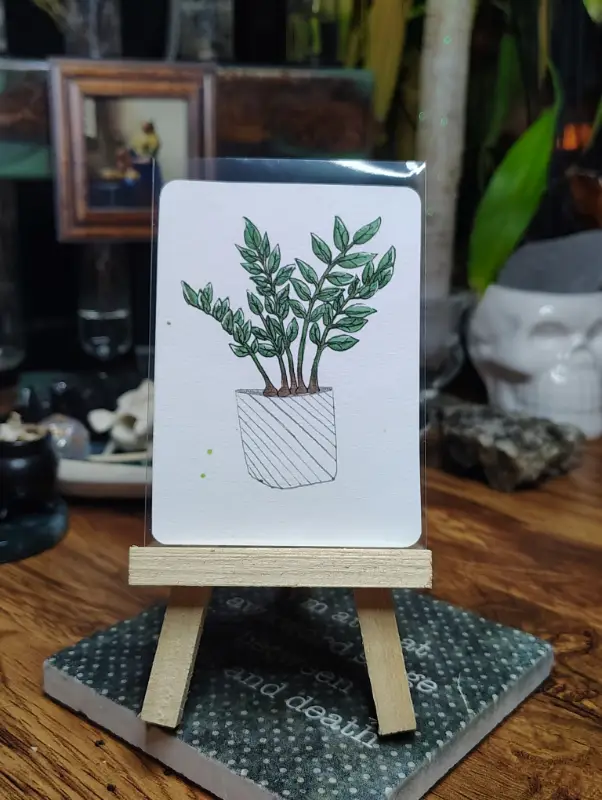 Beneficial Botanicals 4/8: ZZ Plant aceo art card