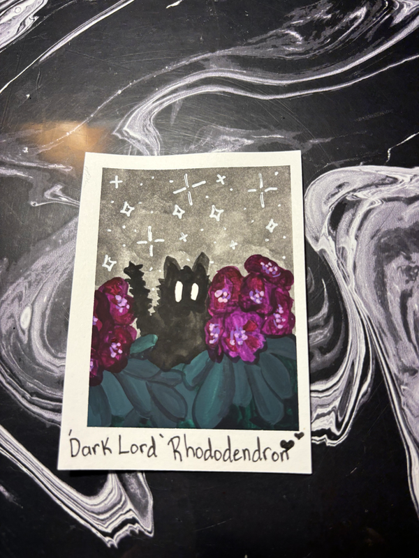 Spooky Baby: Rhododendron aceo art card