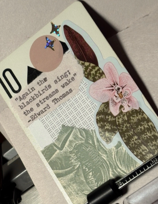Quote Card #217 by Mazerzine collage tropical floral aceo art card thumbnail 2