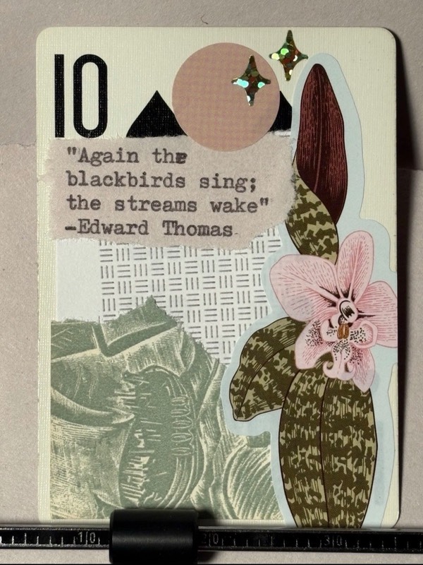 Quote Card #217 by Mazerzine collage tropical floral aceo art card