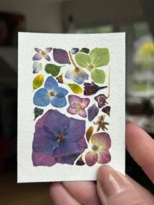 Pressed Flowers #3 aceo art card thumbnail 1