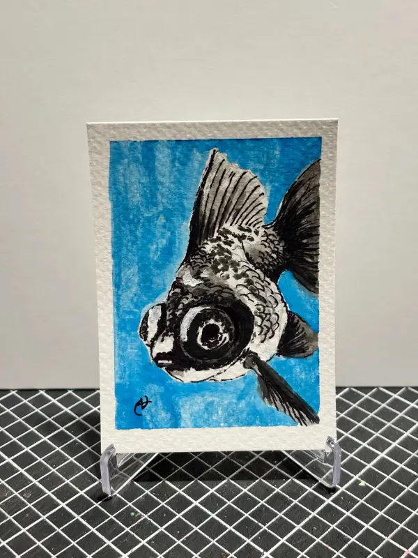 "Pokie" Black/Blue/White Fancy Panda Goldfish aceo art card