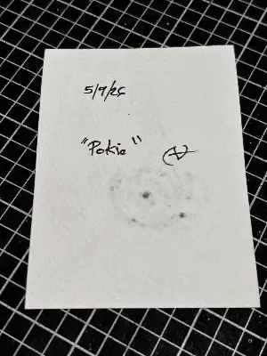 "Pokie" Black/Blue/White Fancy Panda Goldfish aceo art card thumbnail 2