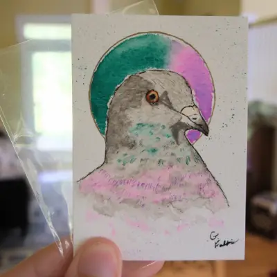 Rock Dove Pigeon aceo art card thumbnail 2